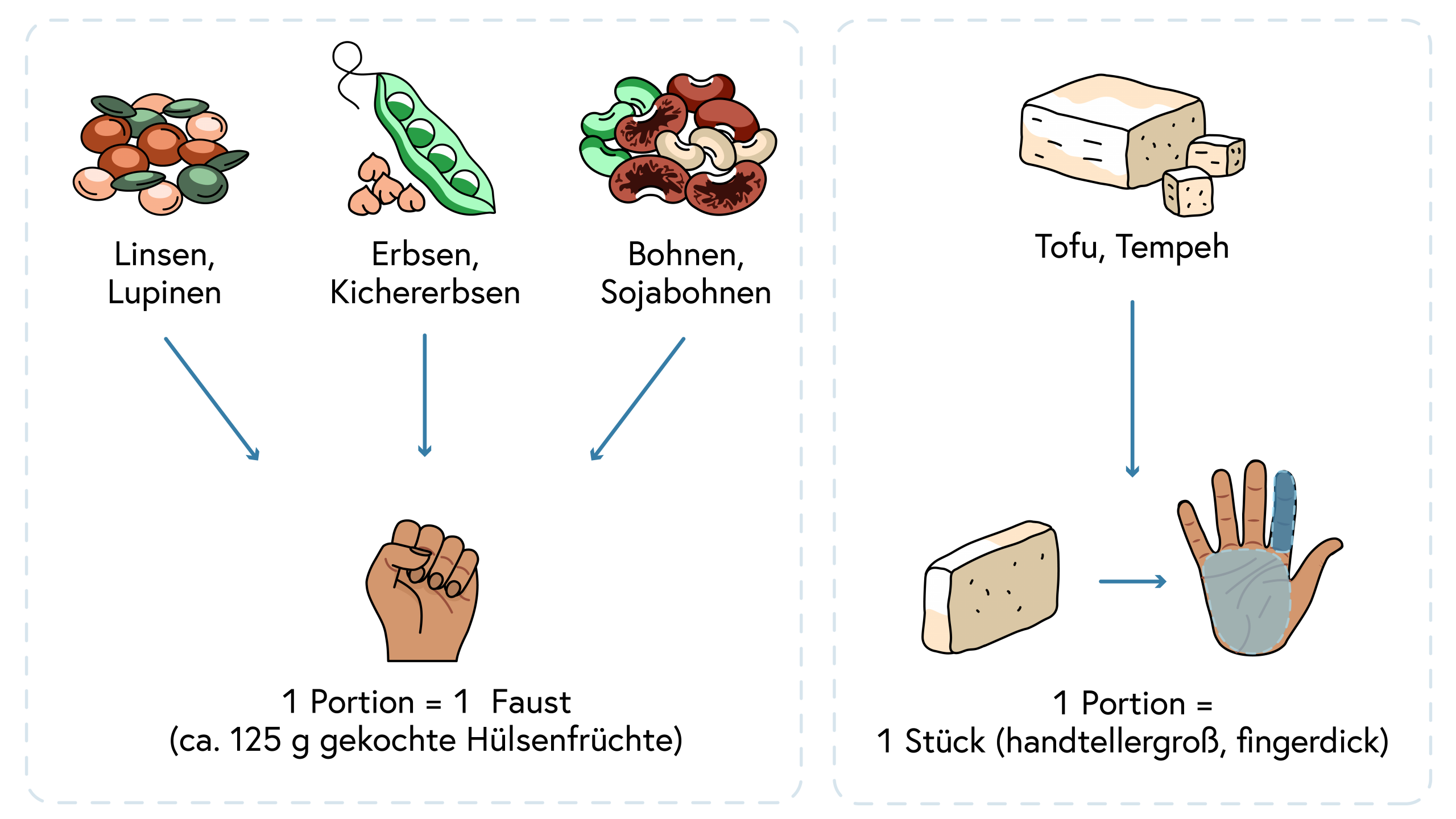 1 Portion Hülsenfrüchte = 1 Faust, 1 Portion Tofu oder Tempeh = 1 Handteller, fingerdick